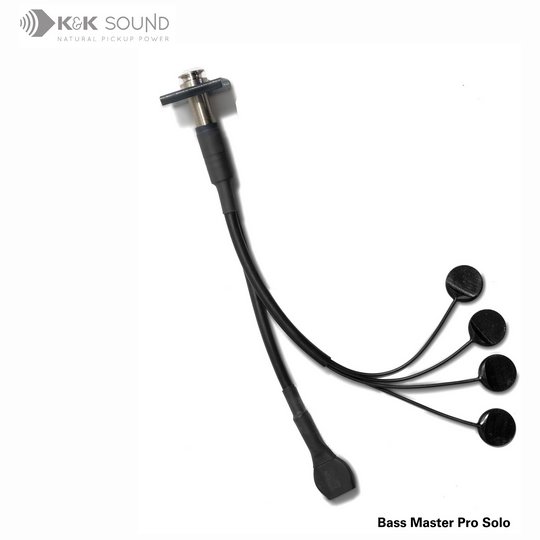 Bass Master Pro Solo (pickups only)