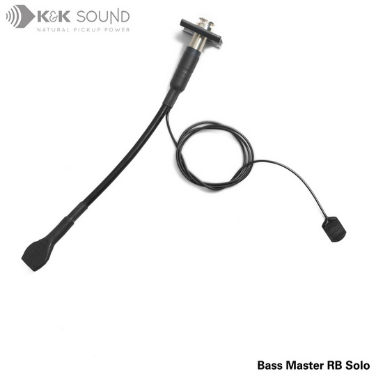 Bass Master Rockabilly Solo (pickups only)