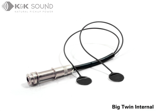 Big Twin Internal